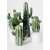 Kaktus Ozdobny, Zielony z Białą Doniczką, Skandynawski Styl